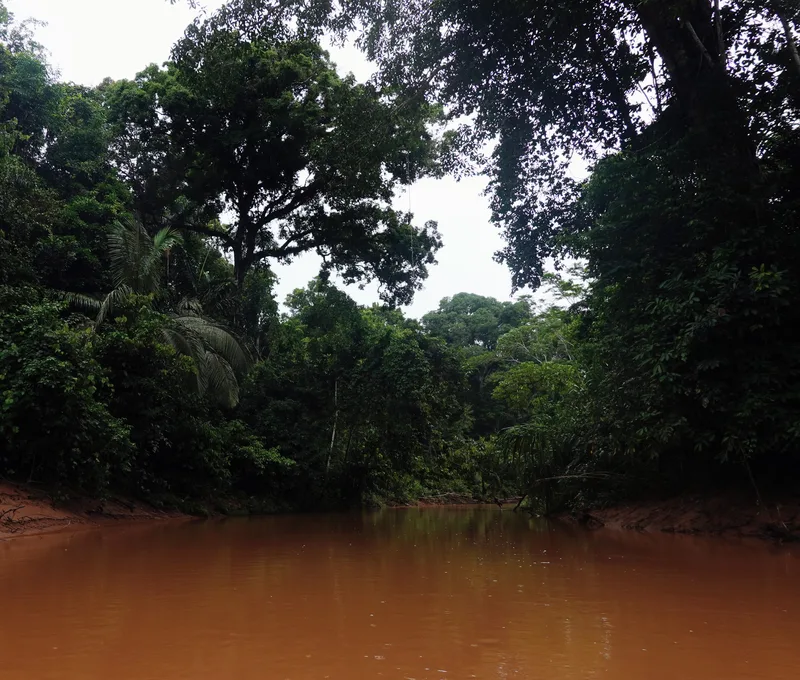 The Eslabon river