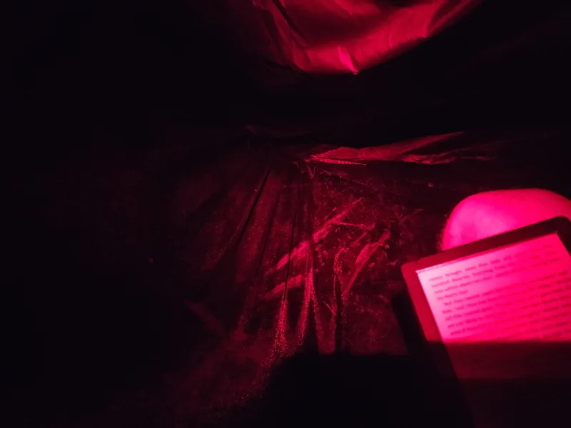 Inside the hammock at night
