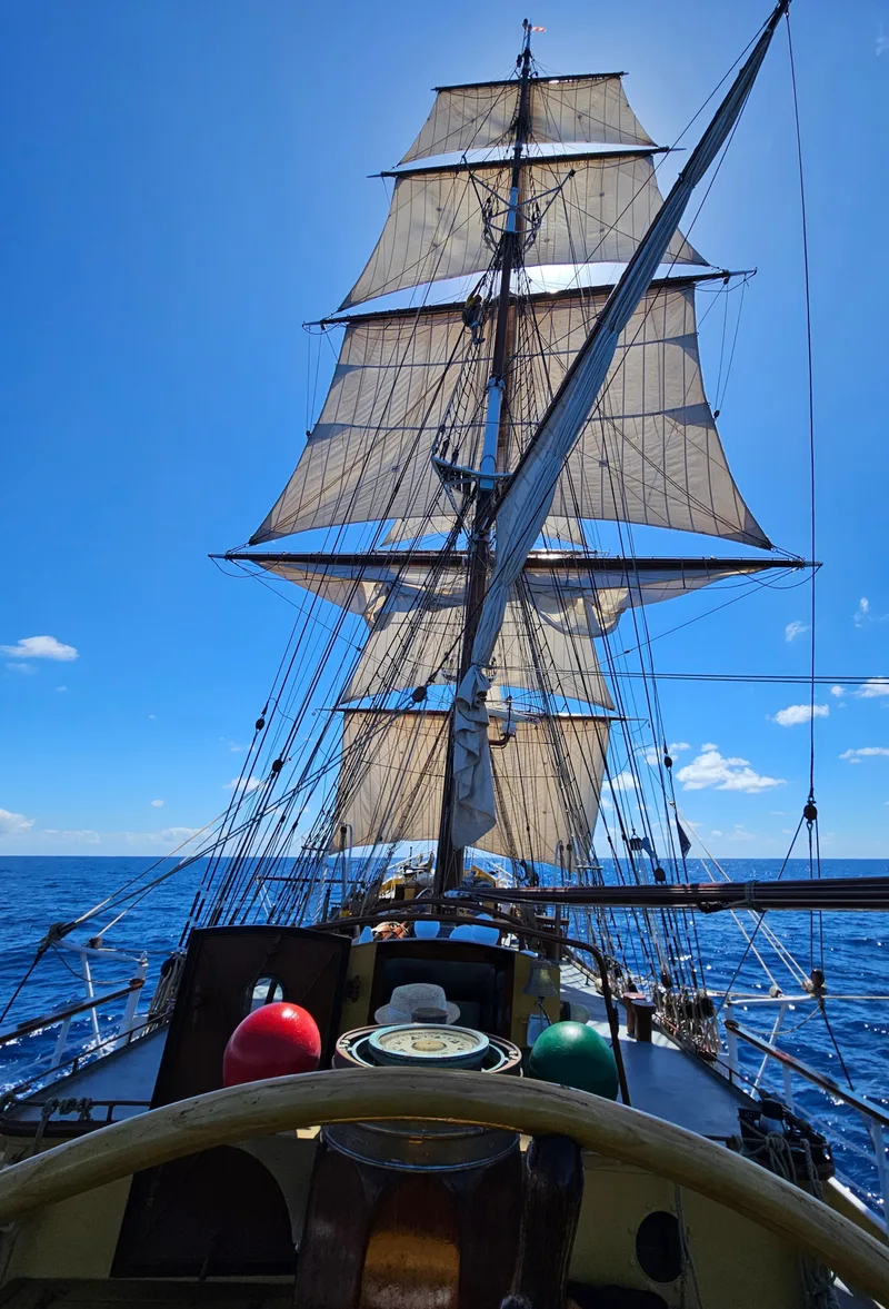 At the helm