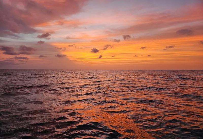 horizon