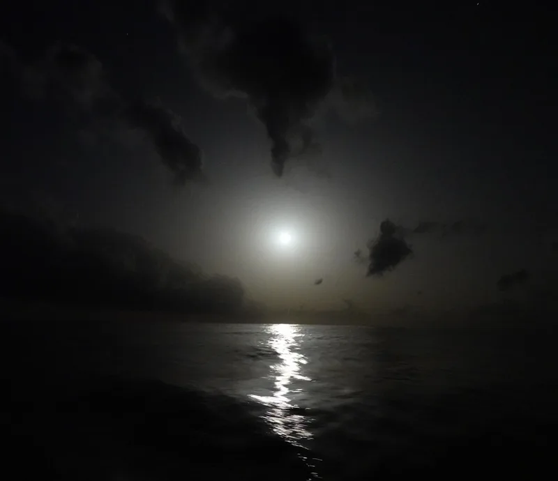 night