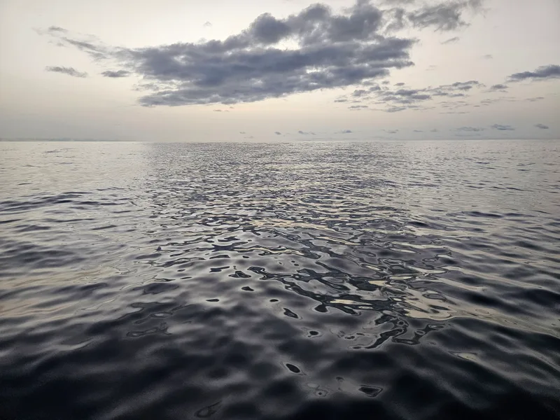 ocean