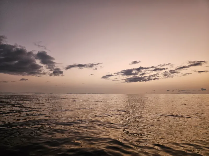 ocean2