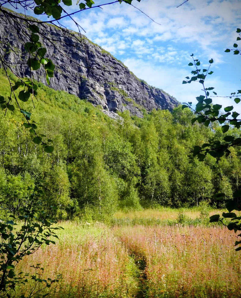 path