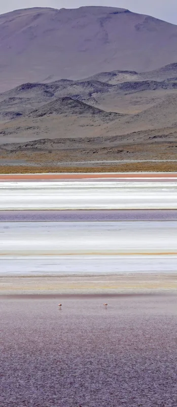boliviasalar
