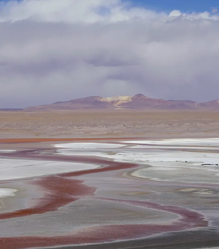 boliviasalar2