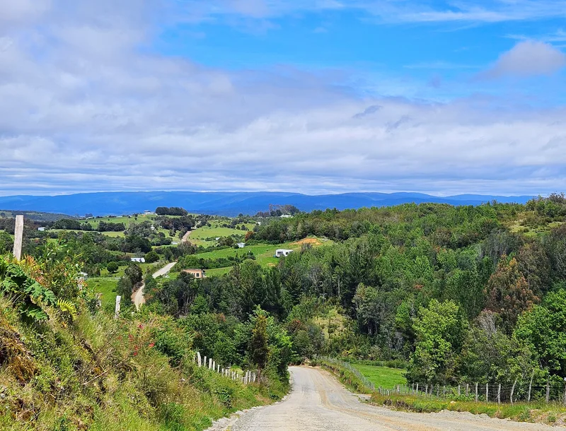 chiloe