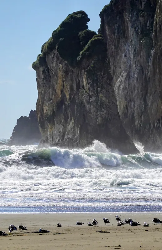 chiloe7
