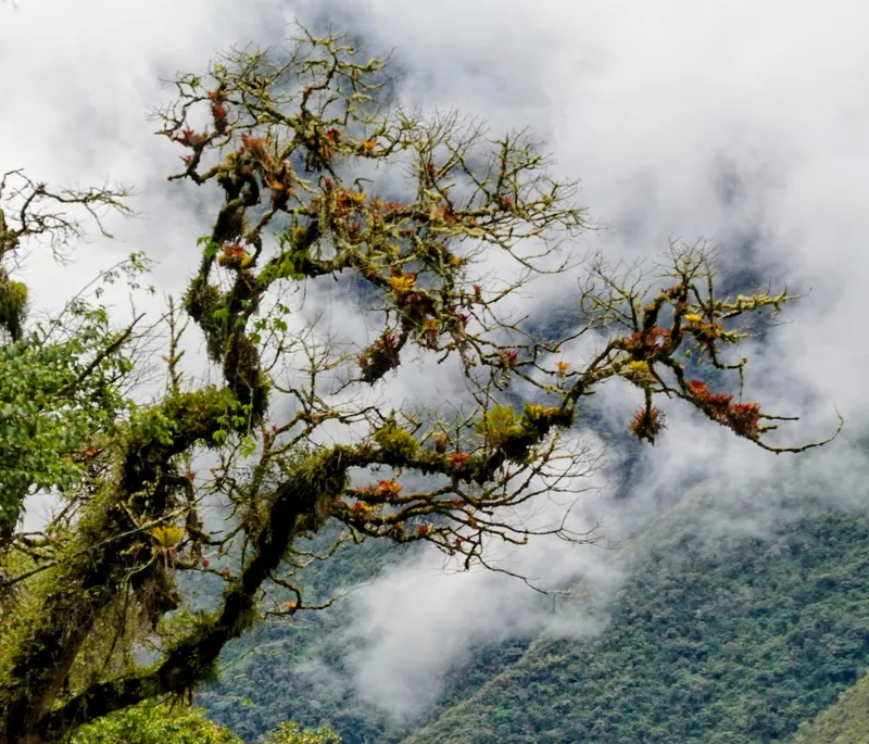 salkantay9