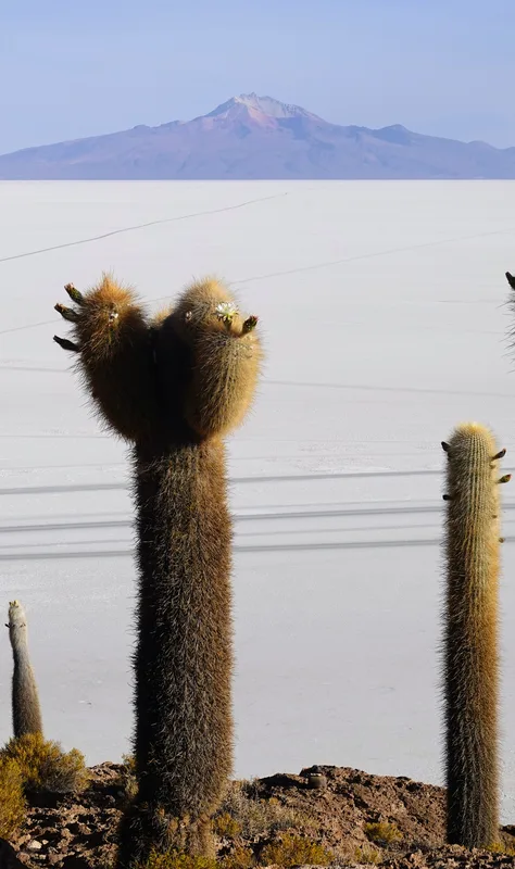 uyuni3