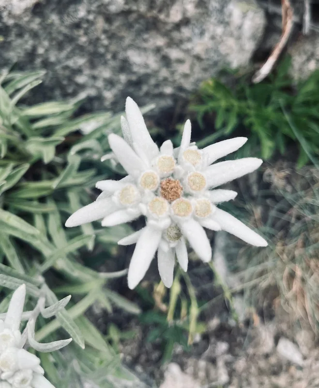 wa_20250709_1