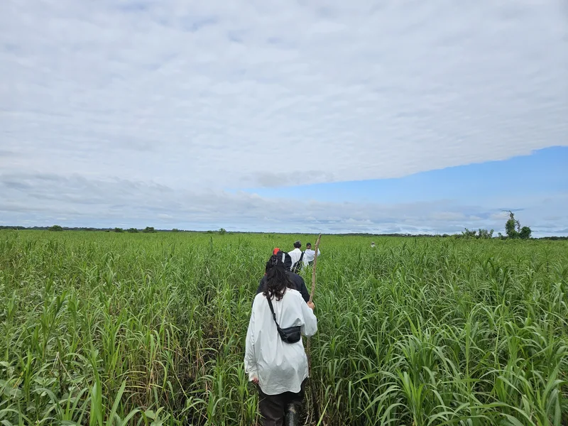 Cleared land near the Bolivian Amazon