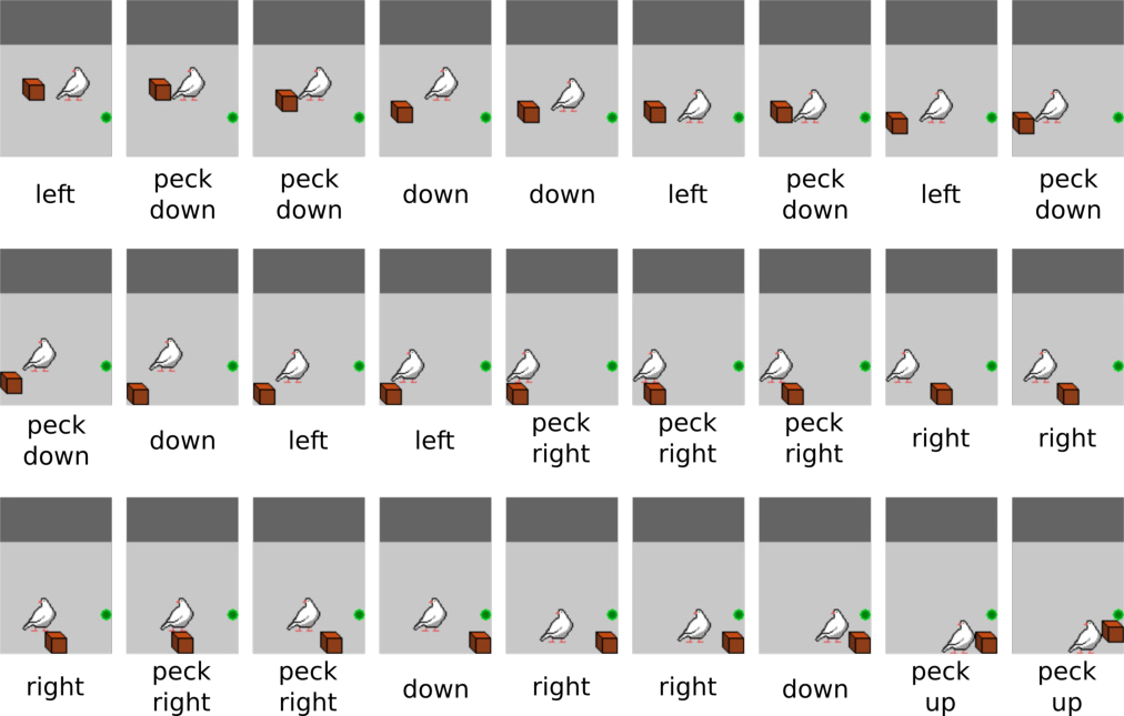 Frames from the artificial pigeon experiment