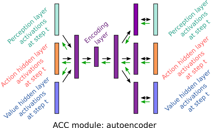 Autoencoder ACC module diagram