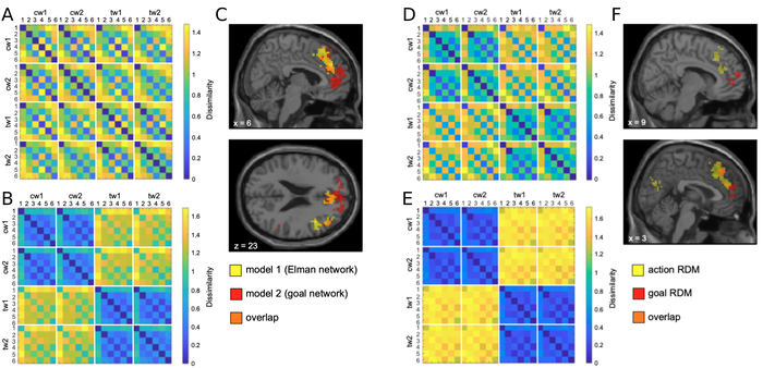 Key results: model RDMs and brain searchlight results